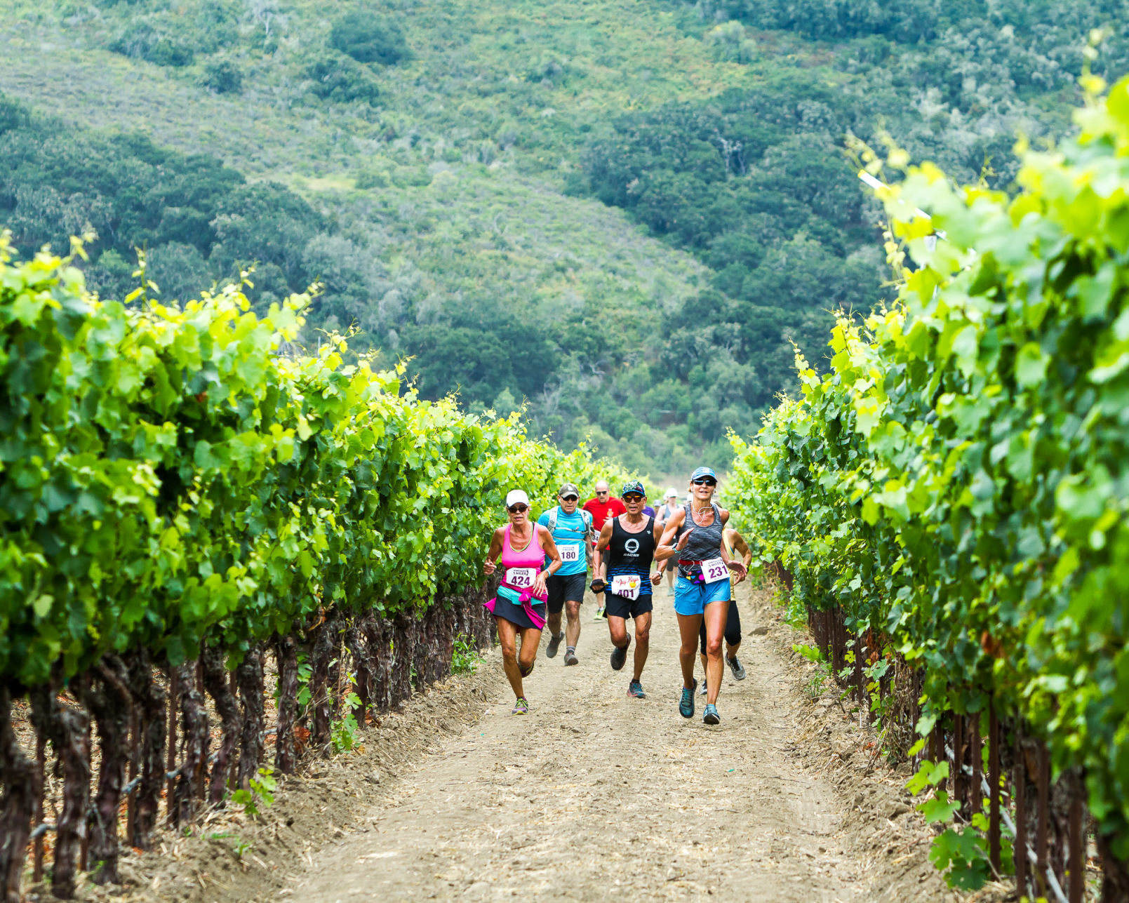 Locals invited to join Buellton's Alma Rosa Winery for 4-mile walk to support mental health